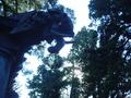 nikko-toshogu_jinja-inner_wellhouse_evil_elephant_gargoyle_and_forest.jpg
