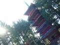 nikko-toshogu_jinja-main_pagoda_single_coolest_pic_anyone_took.jpg