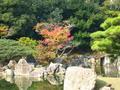 kyoto-nijojo-niyomaru_palace-gorgeous_tree_in_full_autumn_colors.jpg