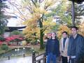 me-kyoto-koryuji-parita_nishihara-very_yellow_tree.jpg