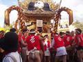 himeji-parade-shrine6_and_asses.jpg