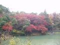kyoto-arashiyama-color_melange_on_river_bank.jpg