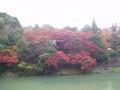 kyoto-arashiyama-color_melange_on_river_bank_closerish.jpg