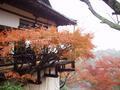 kyoto-arashiyama-senkouji-temple_building.jpg