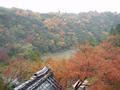 kyoto-arashiyama-senkouji-view_down_towards_river.jpg