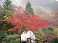 kyoto-arashiyama-senkouji-yumiko-posing_on_steps_in_front_of_red_tree.jpg