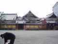 kyoto-honnouji-temple_grounds.jpg