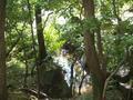 kyoto-kinkakuji-hidden_streamlet.jpg