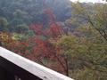 kyoto-kiyomizudera-autumn_leaves1.jpg