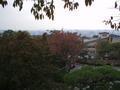 kyoto-kiyomizudera-japanese_maples.jpg