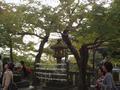 kyoto-kiyomizudera-lantern_with_wishes_tied_in_front.jpg