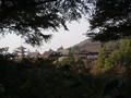 kyoto-kiyomizudera-temple_complex_from_across_gully.jpg