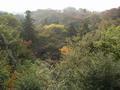 kyoto-kiyomizudera-view_down_into_gully.jpg