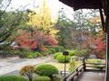 kyoto-koryuji-garden_color_spray_blurryish.jpg