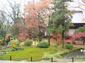 kyoto-koryuji-the_garden_i_want_when_i_grow_up_other_angle.jpg