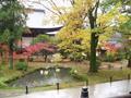 kyoto-koryuji-the_garden_i_want_when_i_grow_up_truer_colors.jpg