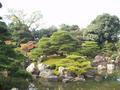 kyoto-nijojo-niyomaru_palace-garden_island_autumn_leaves1.jpg