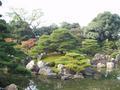 kyoto-nijojo-niyomaru_palace-garden_island_autumn_leaves2.jpg