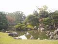 kyoto-nijojo-niyomaru_palace-garden_island_autumn_leaves_postcard_style.jpg