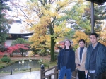 fromparita/me-kyoto-koryuji-parita_nishihara-very_yellow_tree.jpg