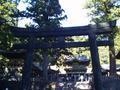 nikko-toshogu_jinja-interior_concrete_torii_blurryish.jpg