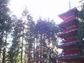 nikko-toshogu_jinja-pagoda_rather_nifty_upward_shot.jpg