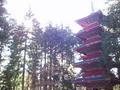 nikko-toshogu_jinja-pagoda_rather_nifty_upward_shot2.jpg