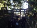 nikko-toshogu_jinja-staircase_to_grave_torii_blurred.jpg