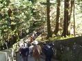 nikko-toshogu_jinja-staircase_to_grave_view_down.jpg