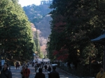 fromjason/nikko-toshogu_jinja-view_down_causeway.jpg