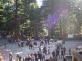 nikko-toshogu_jinja-view_down_into_courtyard.jpg