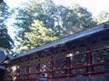 nikko-toshogu_jinja-wall_panels_left_side_of_gate.jpg