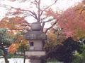 osaka-osakajo_koen-lantern_and_tree_blurryish.jpg