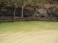 kalihiwai_bay-calm_green_of_tidal_river.jpg