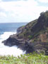 kilauea_point-birds_nesting_on_cliffs.jpg