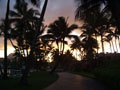 marriott-sunset_through_palms.jpg