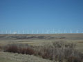 windmills.JPG